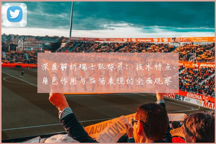 深度解析瑞士队球员:技术特点、角色作用与临场表现的全面观察